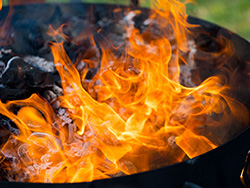FUEGO AUSTRAL