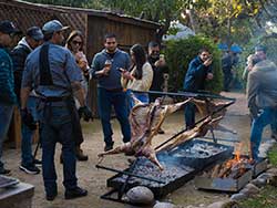 Fuego Austral